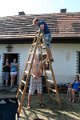IMG_4739